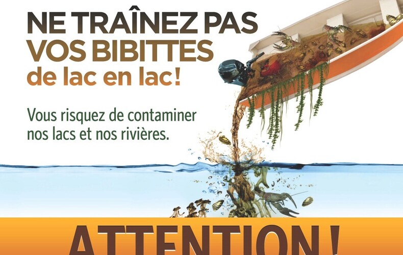 Ne traînez pas vos bibittes de lac en lac!