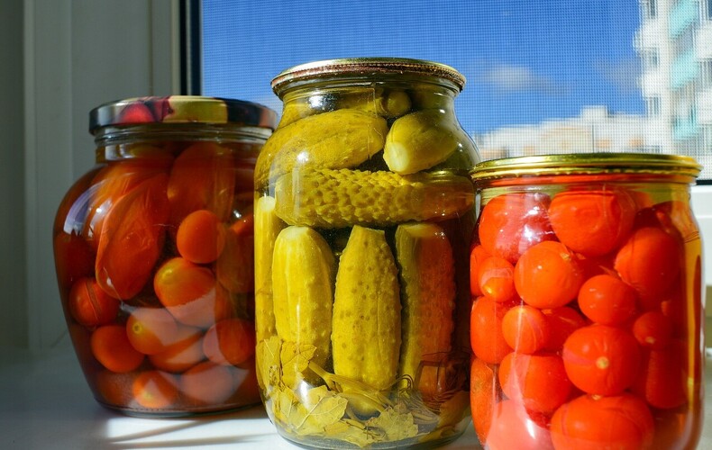 La Lactofermentation